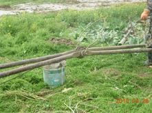 at working site��huanli